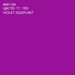 #991199 - Violet Eggplant Color Image